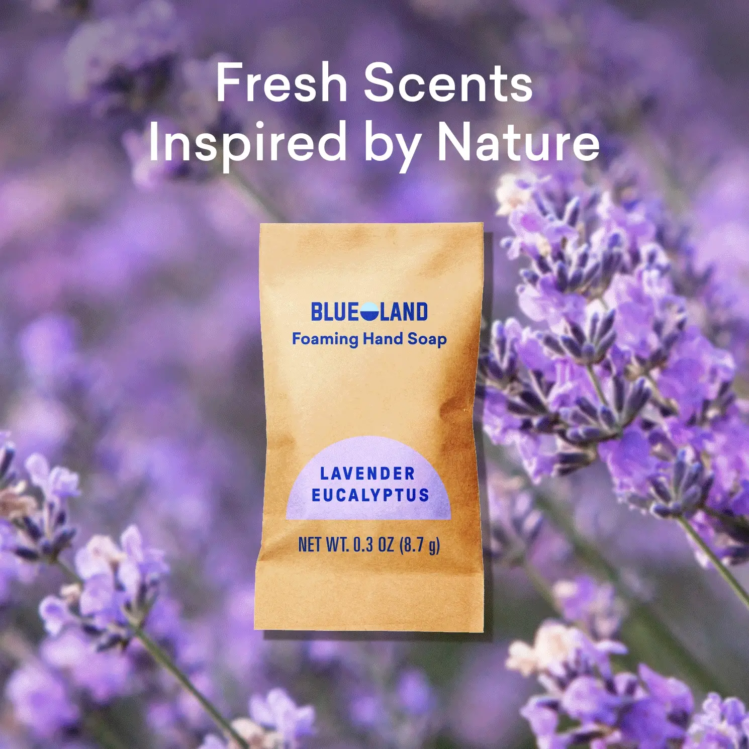 Hand Soap Starter Set - Image 4