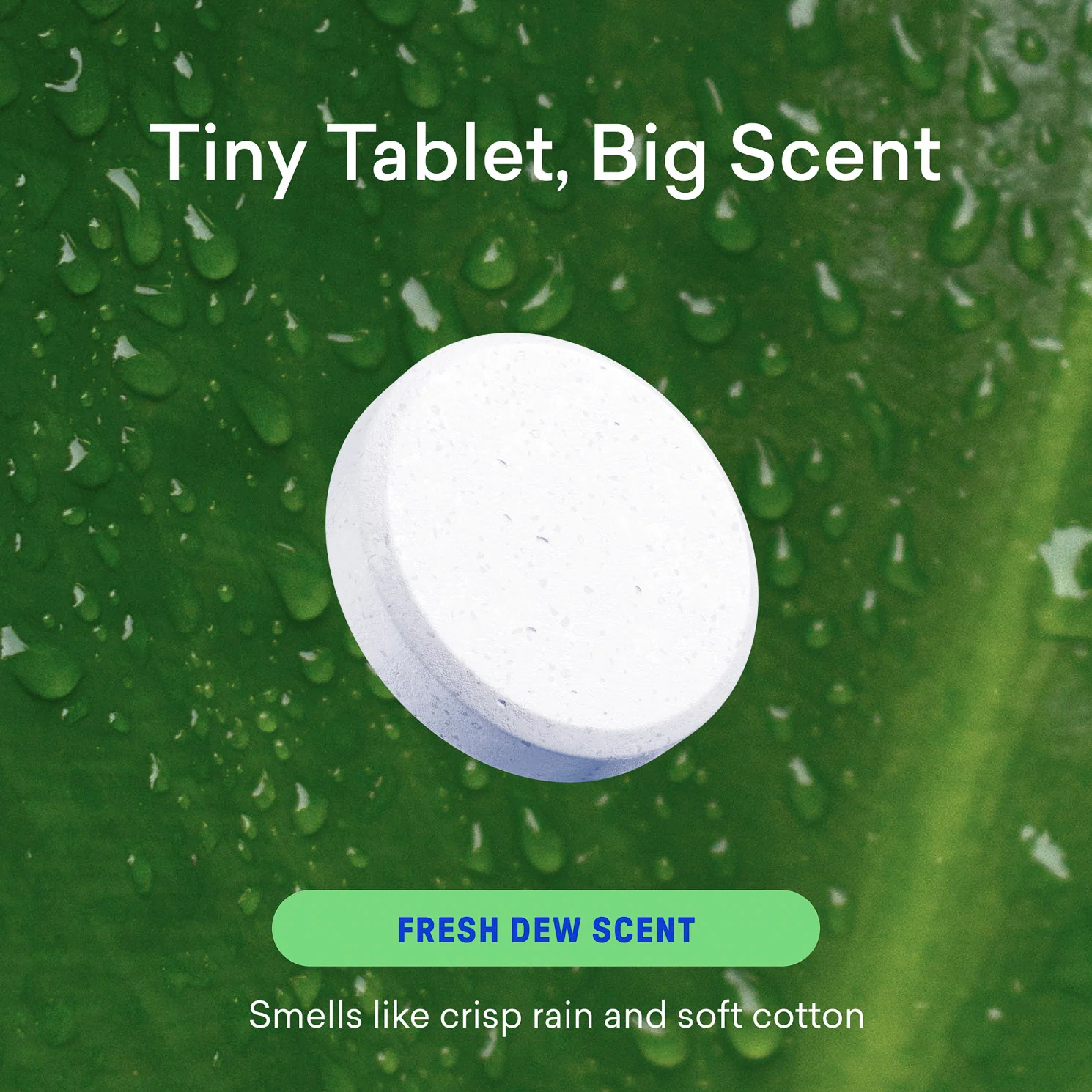 Laundry Detergent Starter Set - Image 7