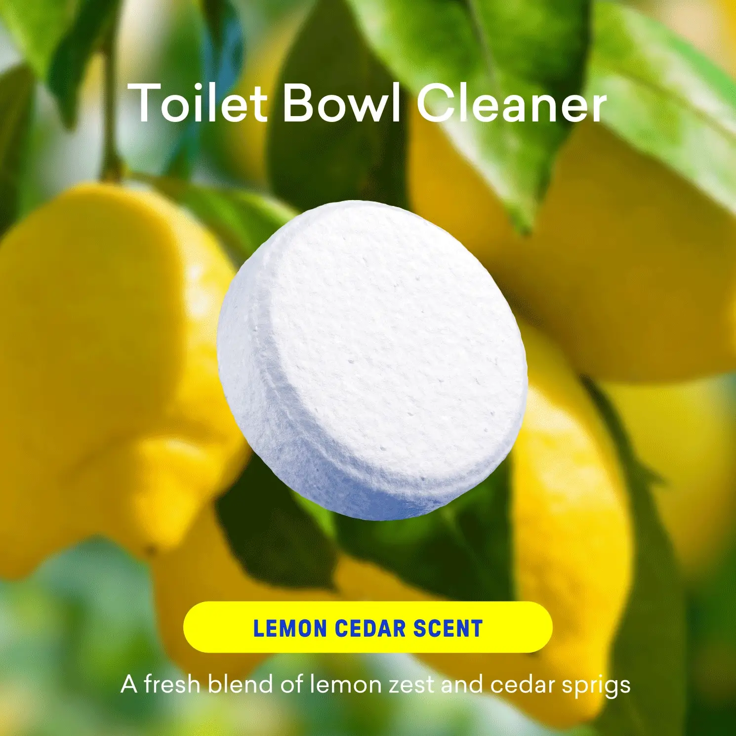 Laundry Detergent & Toilet Bowl Cleaner Duo - Image 6
