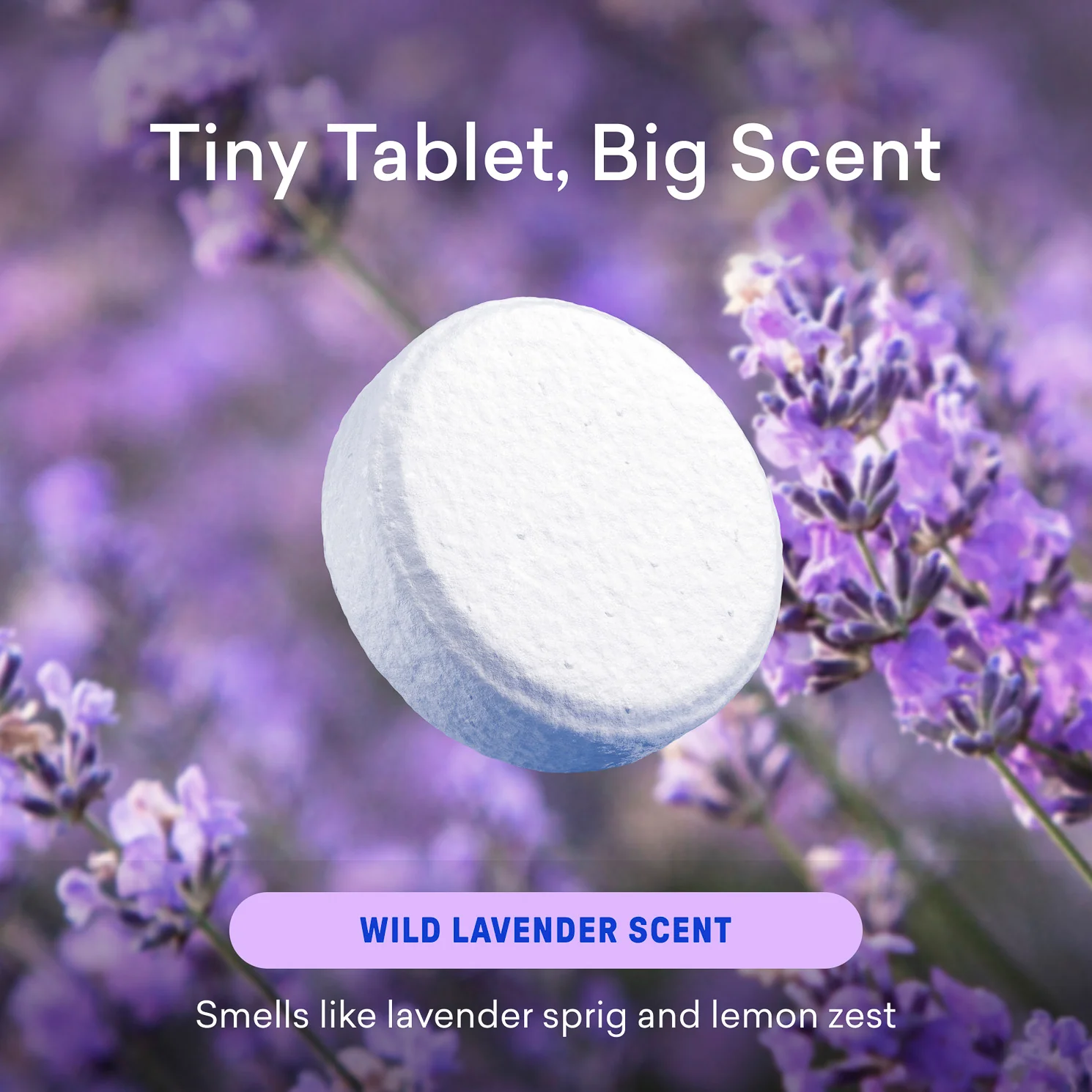 1 Year of Wild Lavender Toilet Bowl Cleaner - Image 5